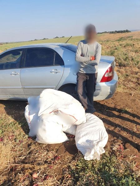اعتقال مشتبه من طرعان بسرقة البصل
